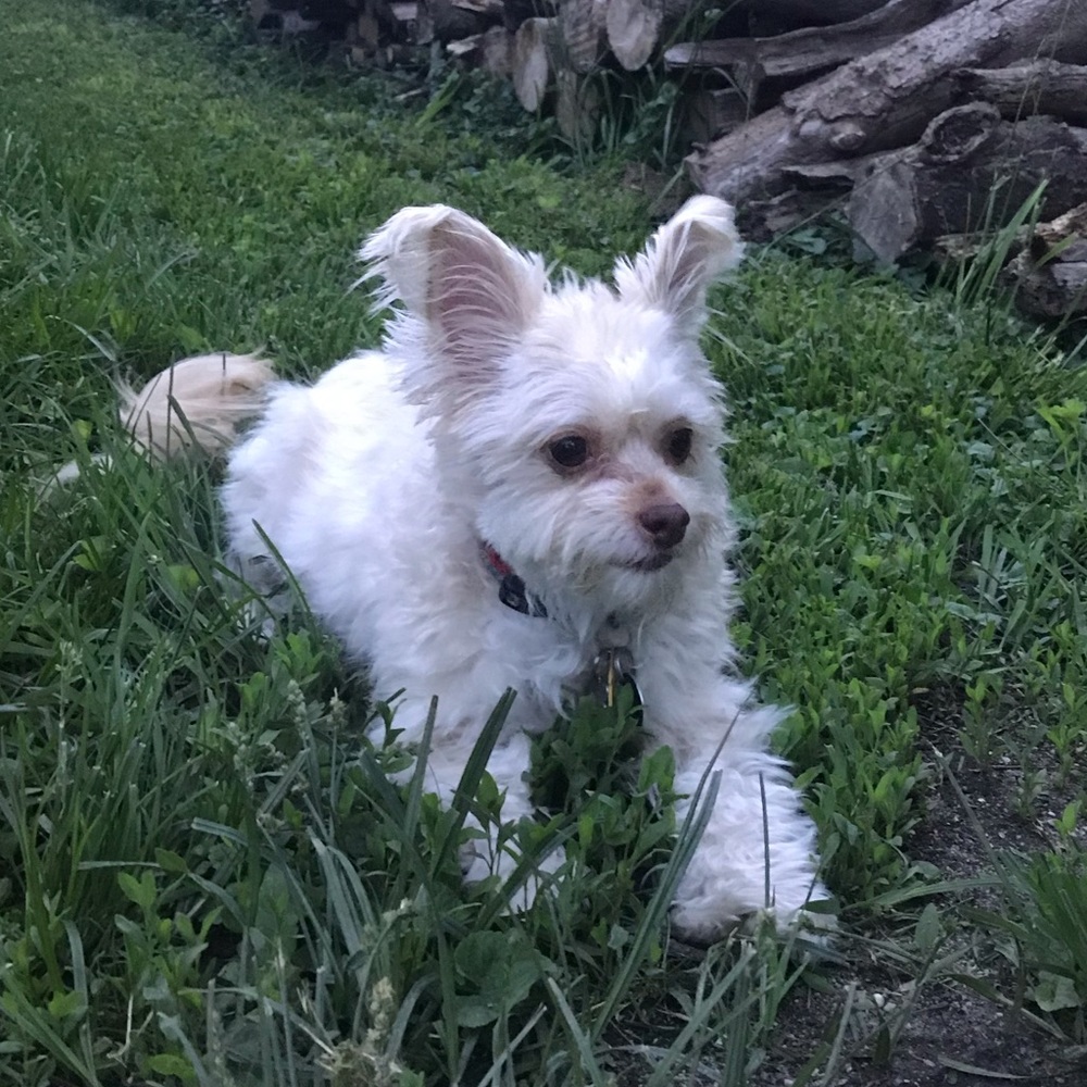 Meet your Posher, Kat